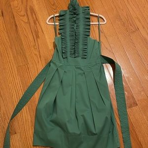 Mint green ruffled tuxedo button up BCBGMaxAzria dress size 6